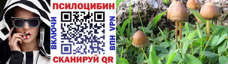 Псилоцибиновые грибы Magic Shrooms  наркошоп  блэк спрут как войти  Владивосток 